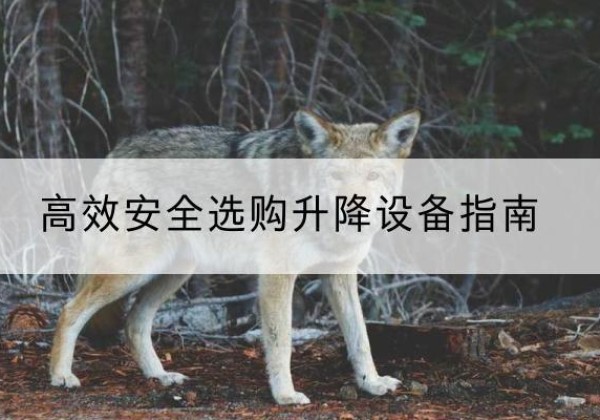 荷塘升降货梯厂家推荐-*安全选购升降设备指南