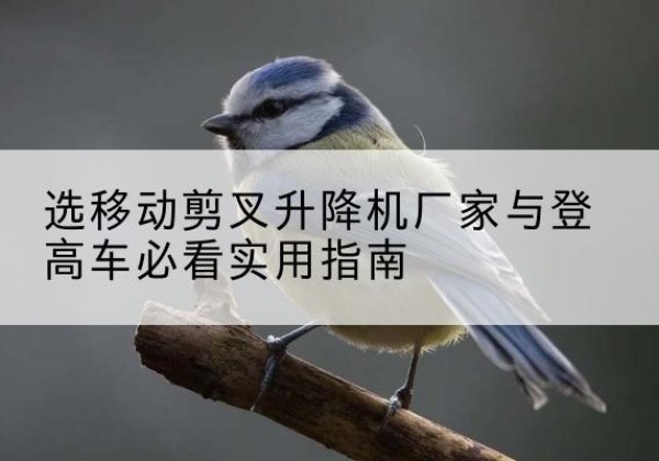 荷塘电动升降机厂家-选移动剪叉升降机厂家与登高车必看实用指南