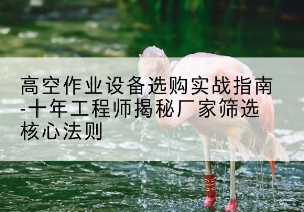 荷塘剪叉式升降机厂家-高空作业设备选购实战指南-十年工程师揭秘厂家筛选核心法则